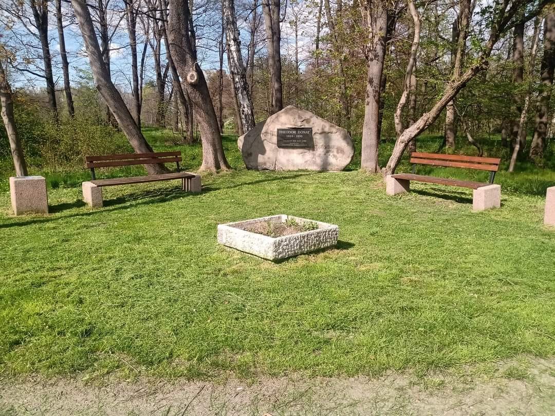 kosza-i-porzadkuja-105615