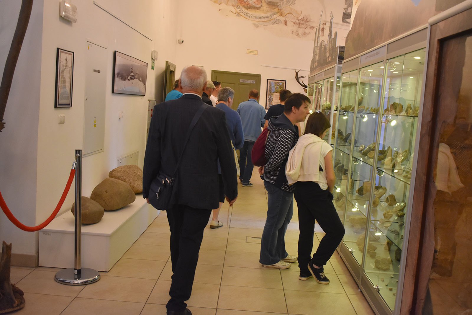 tumy-w-muzeum-przyrodniczym-105616