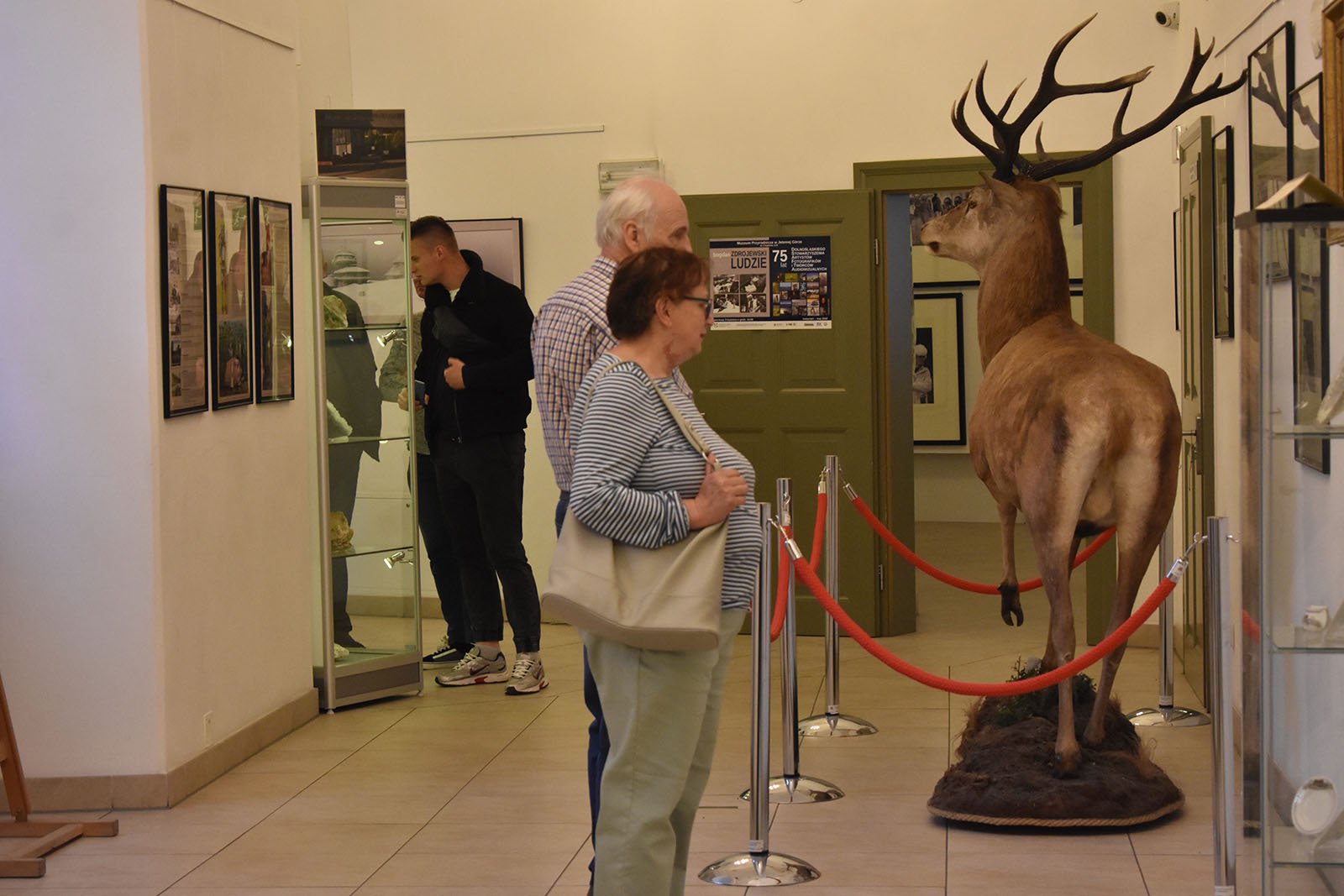 tumy-w-muzeum-przyrodniczym-105616