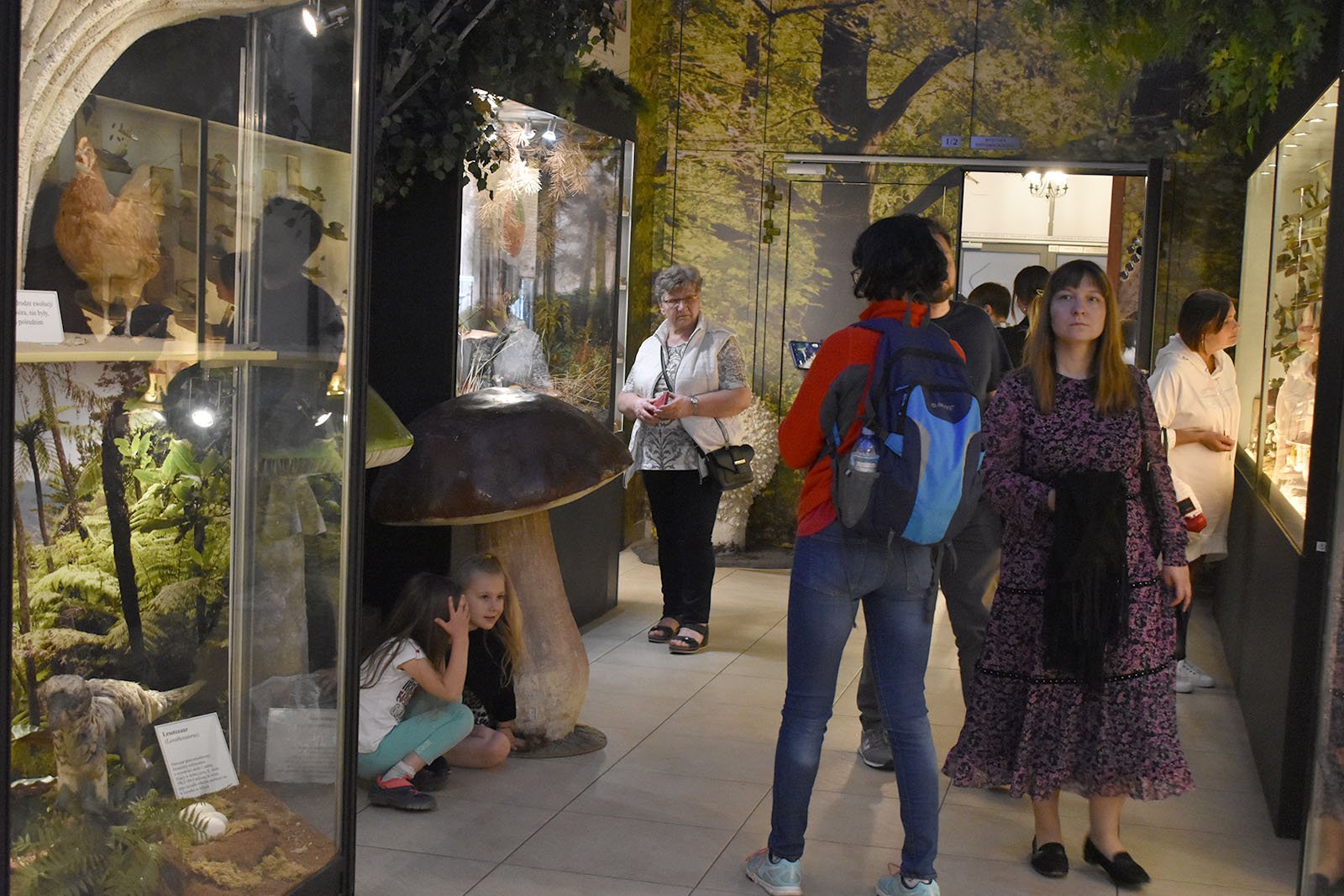 tumy-w-muzeum-przyrodniczym-105616