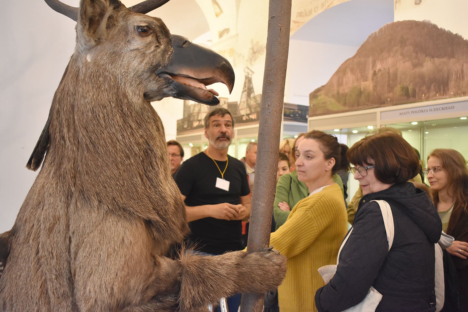 tumy-w-muzeum-przyrodniczym-105616