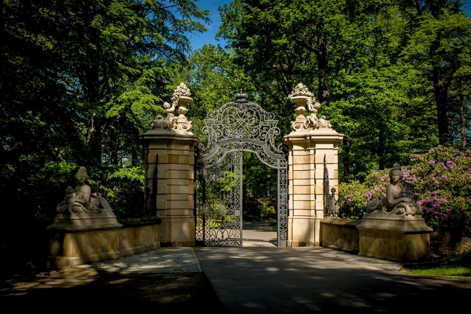 ksiaz-w-rododendronach-105726