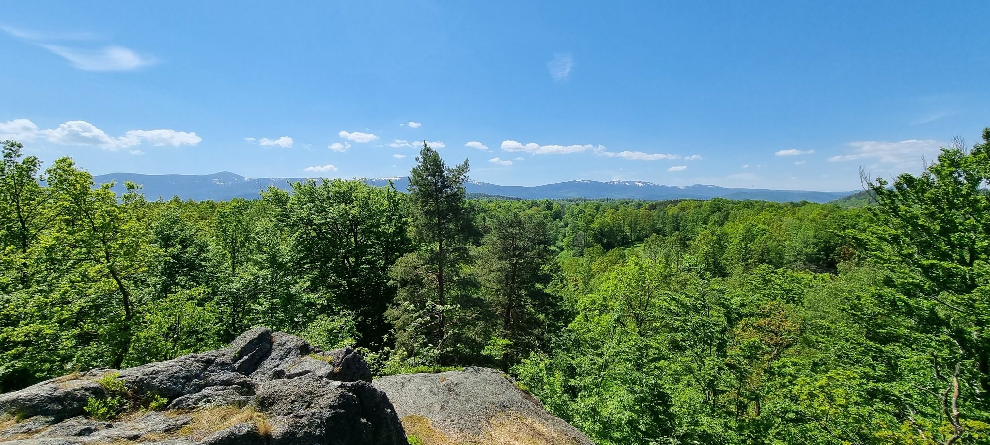porzadki-na-krzyzowej-gorze-105730