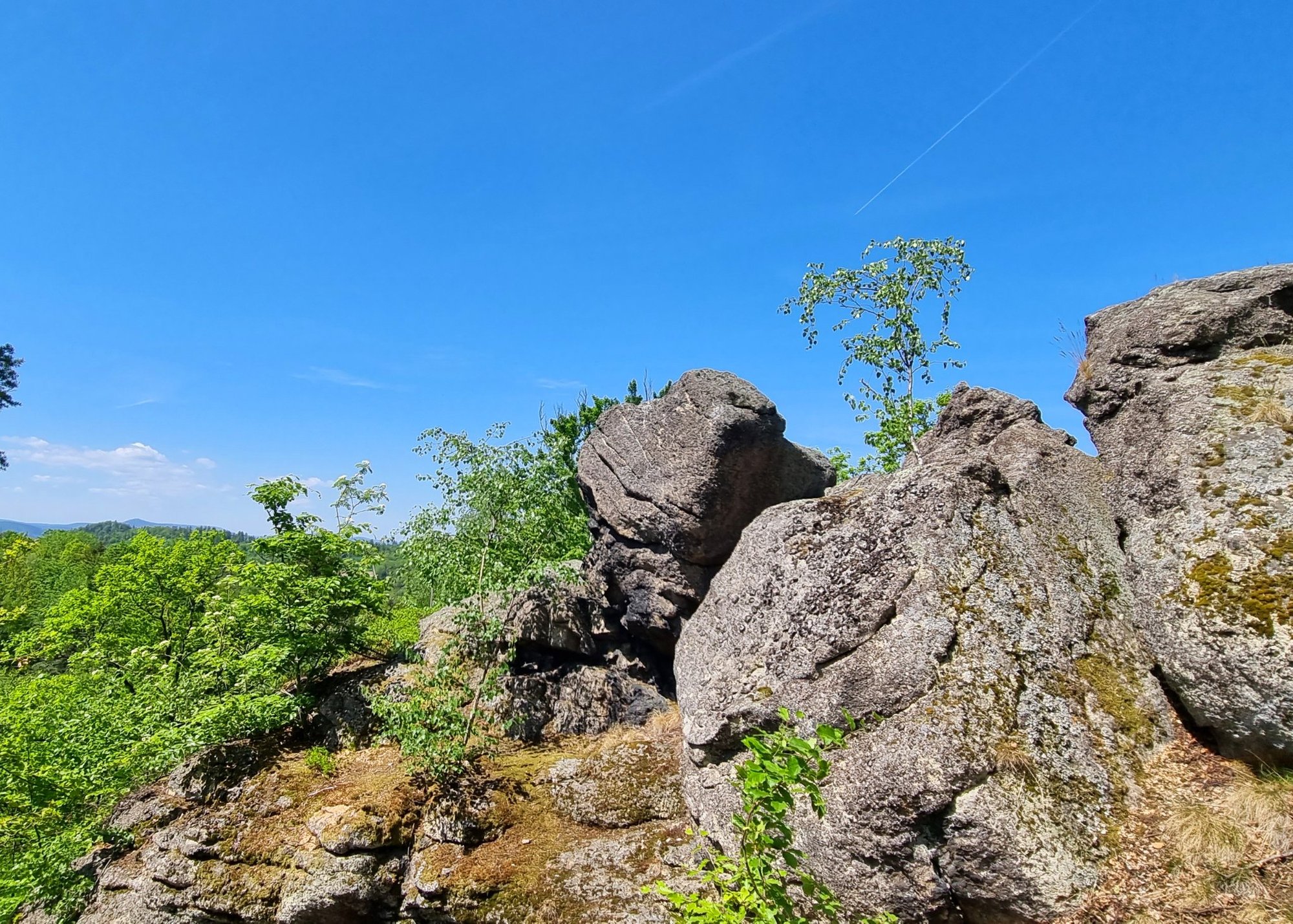 porzadki-na-krzyzowej-gorze-105730