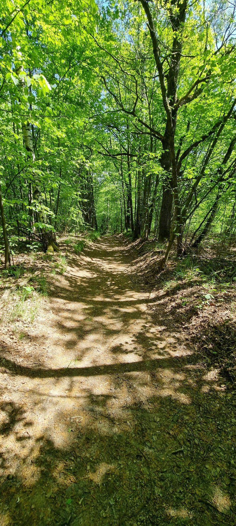 porzadki-na-krzyzowej-gorze-105730