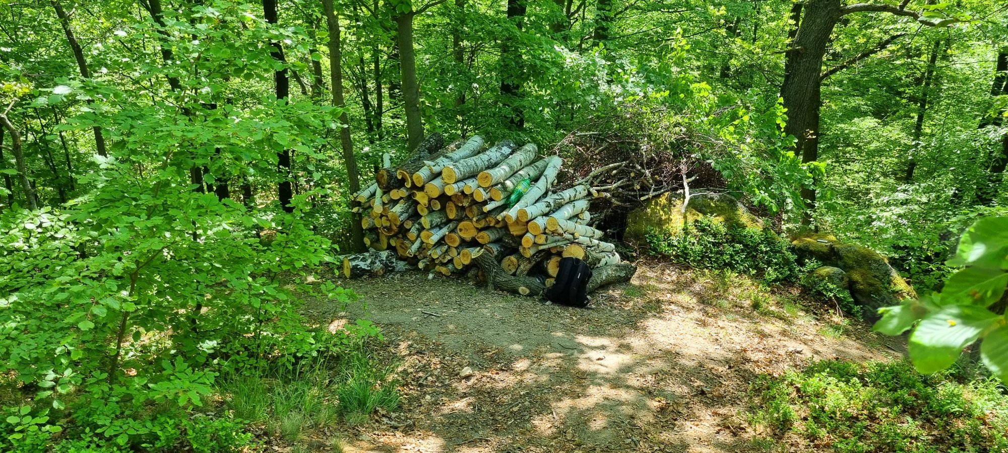 porzadki-na-krzyzowej-gorze-105730