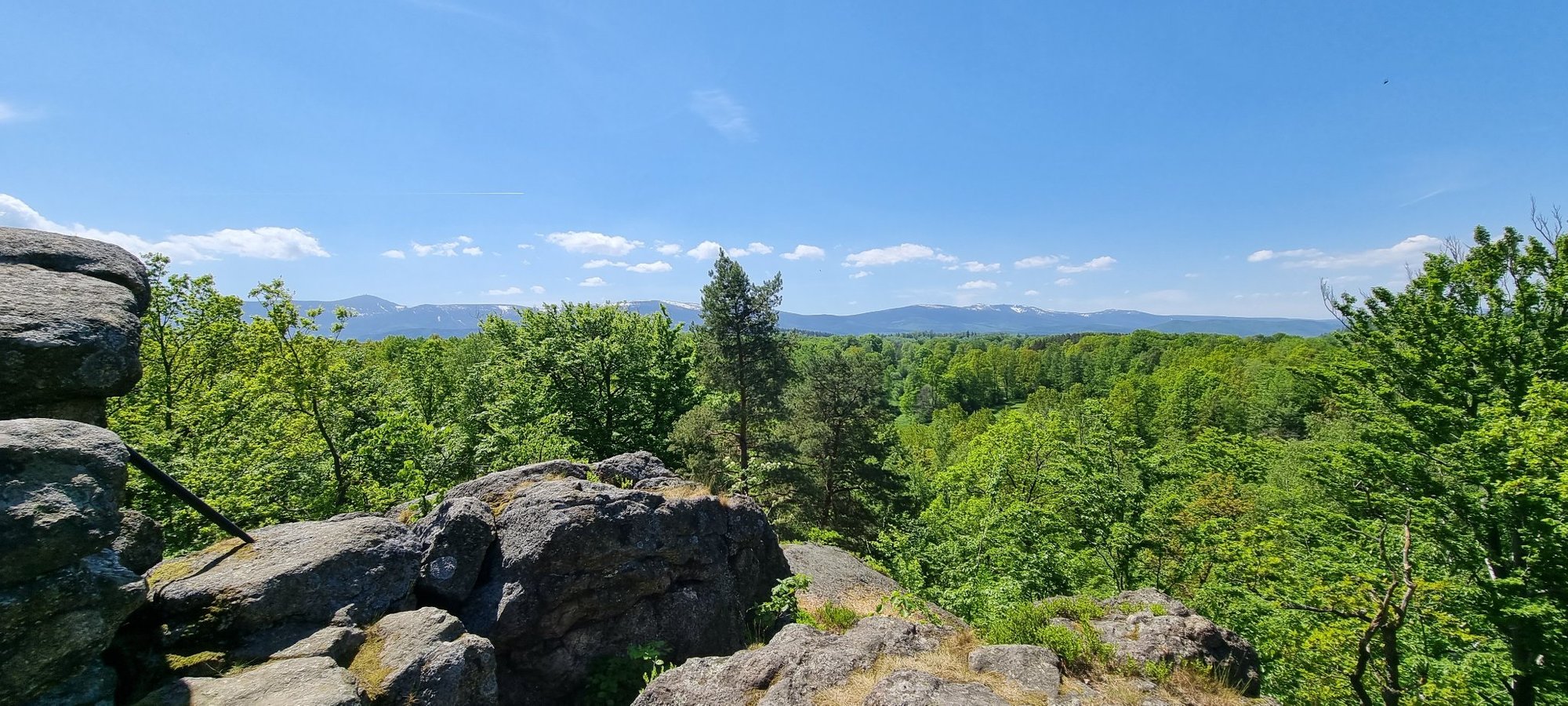 porzadki-na-krzyzowej-gorze-105730