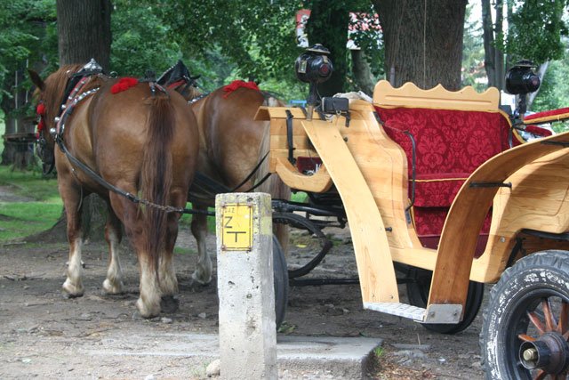 Przejazdy dorożką po mieście są przyjemnością, ale i uciążliwością dla władz, które muszą dbać o stan dróg.