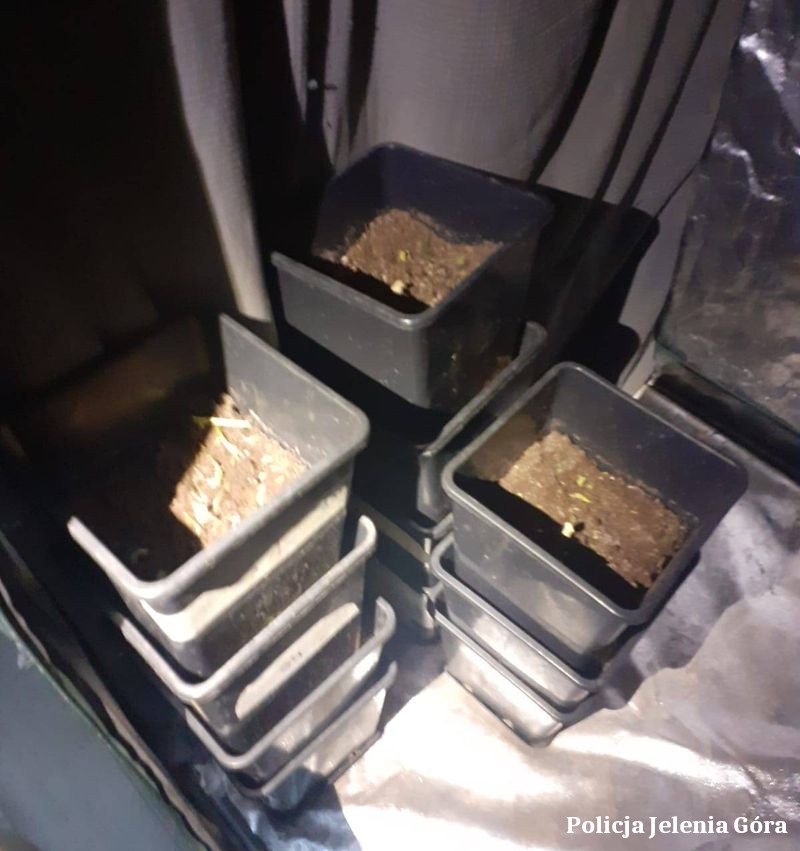 areszt-za-narkotyki-105832