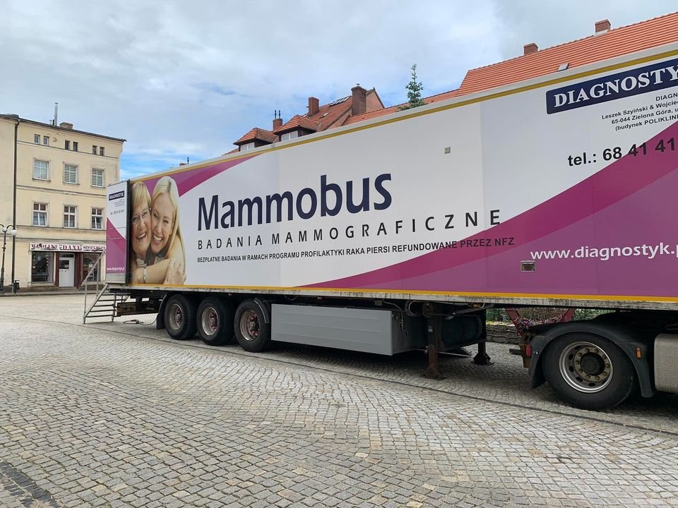 stanie-mammobus-105968