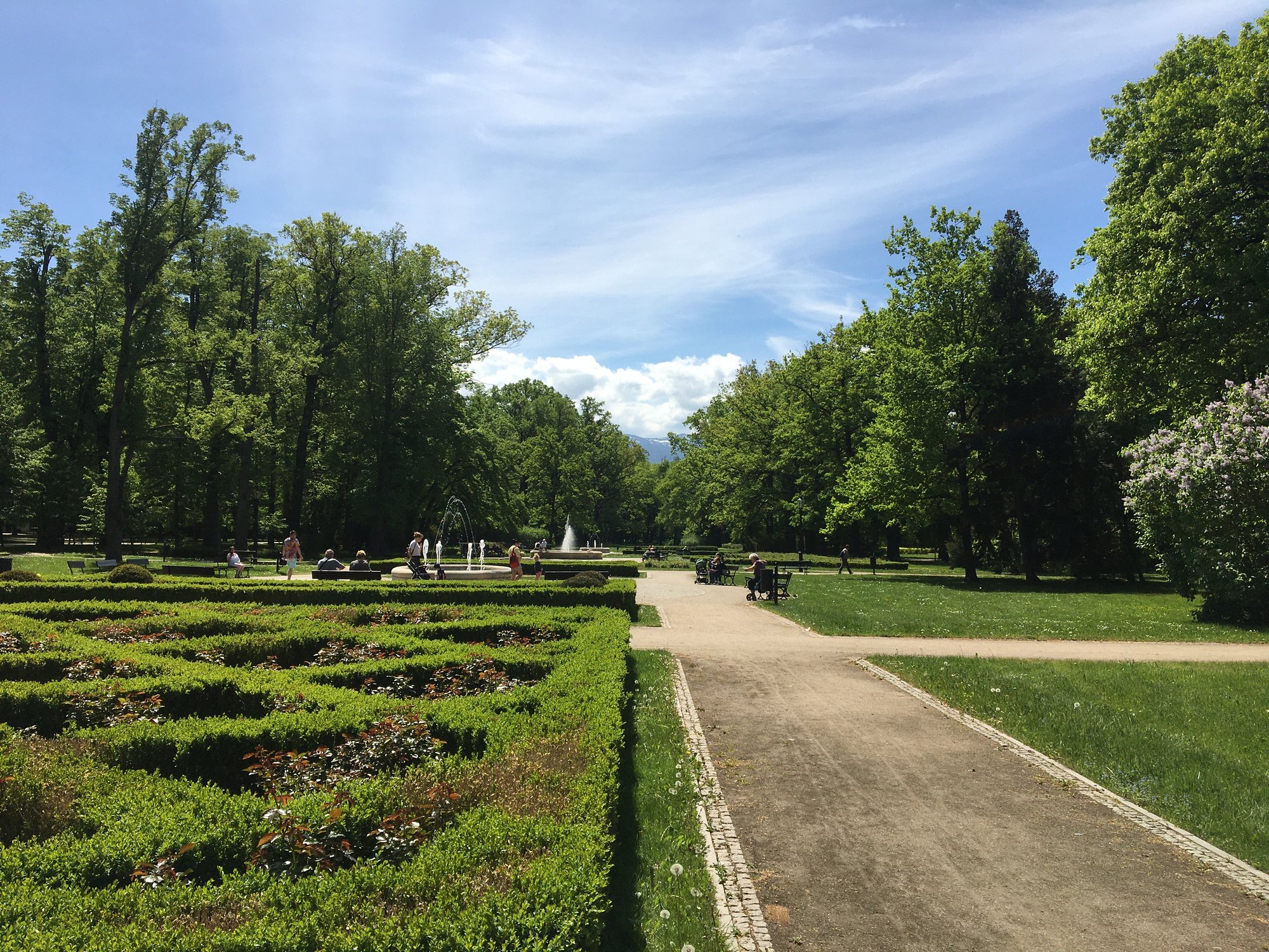 zielona-jelenia-gora-106018