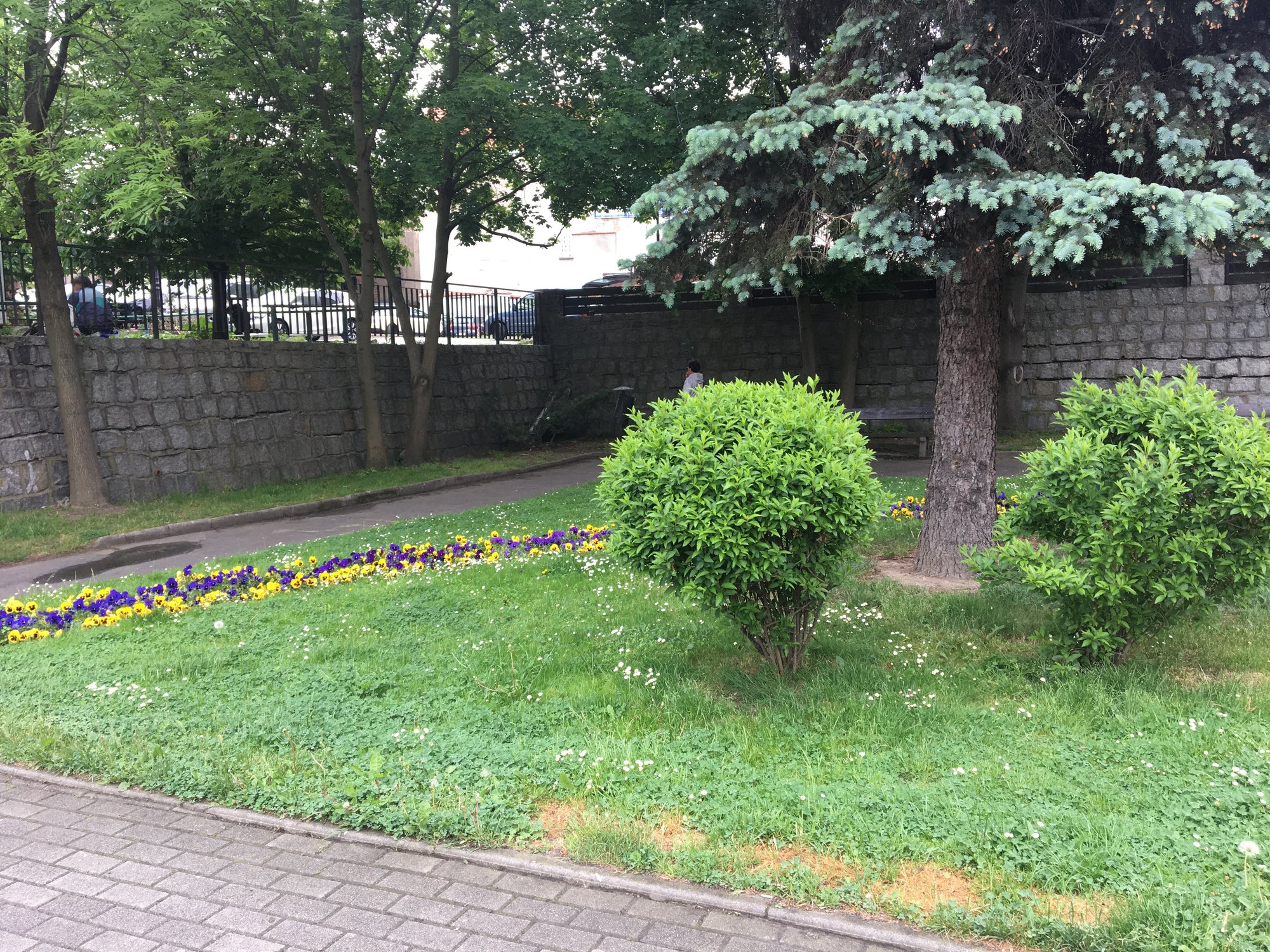 zielona-jelenia-gora-106018