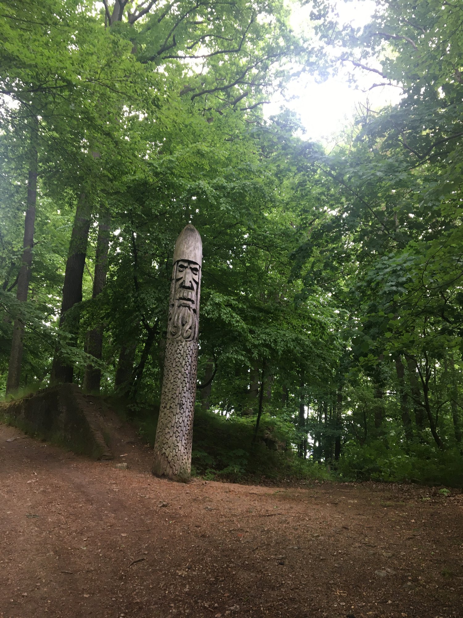 zielona-jelenia-gora-106018