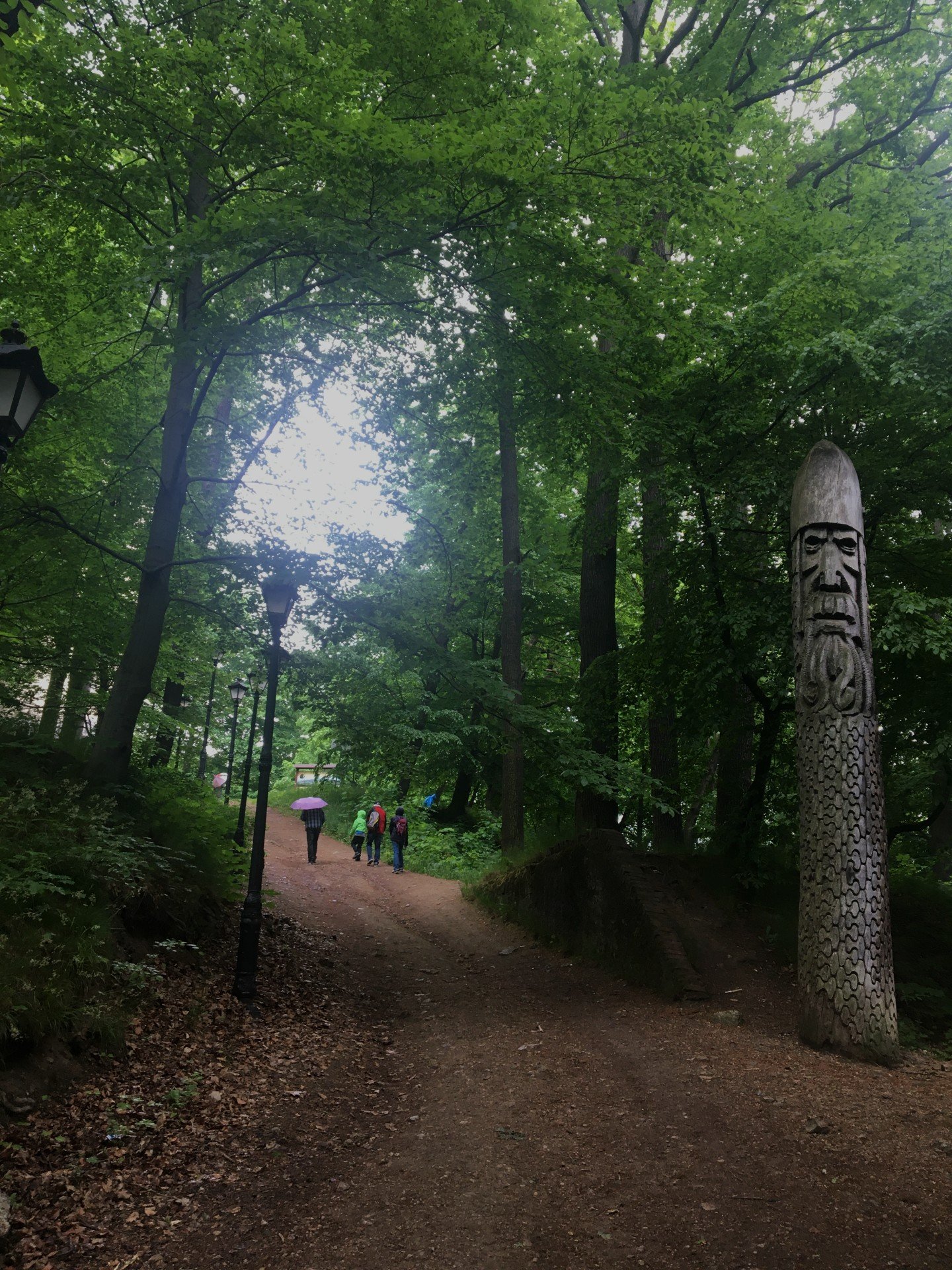 zielona-jelenia-gora-106018