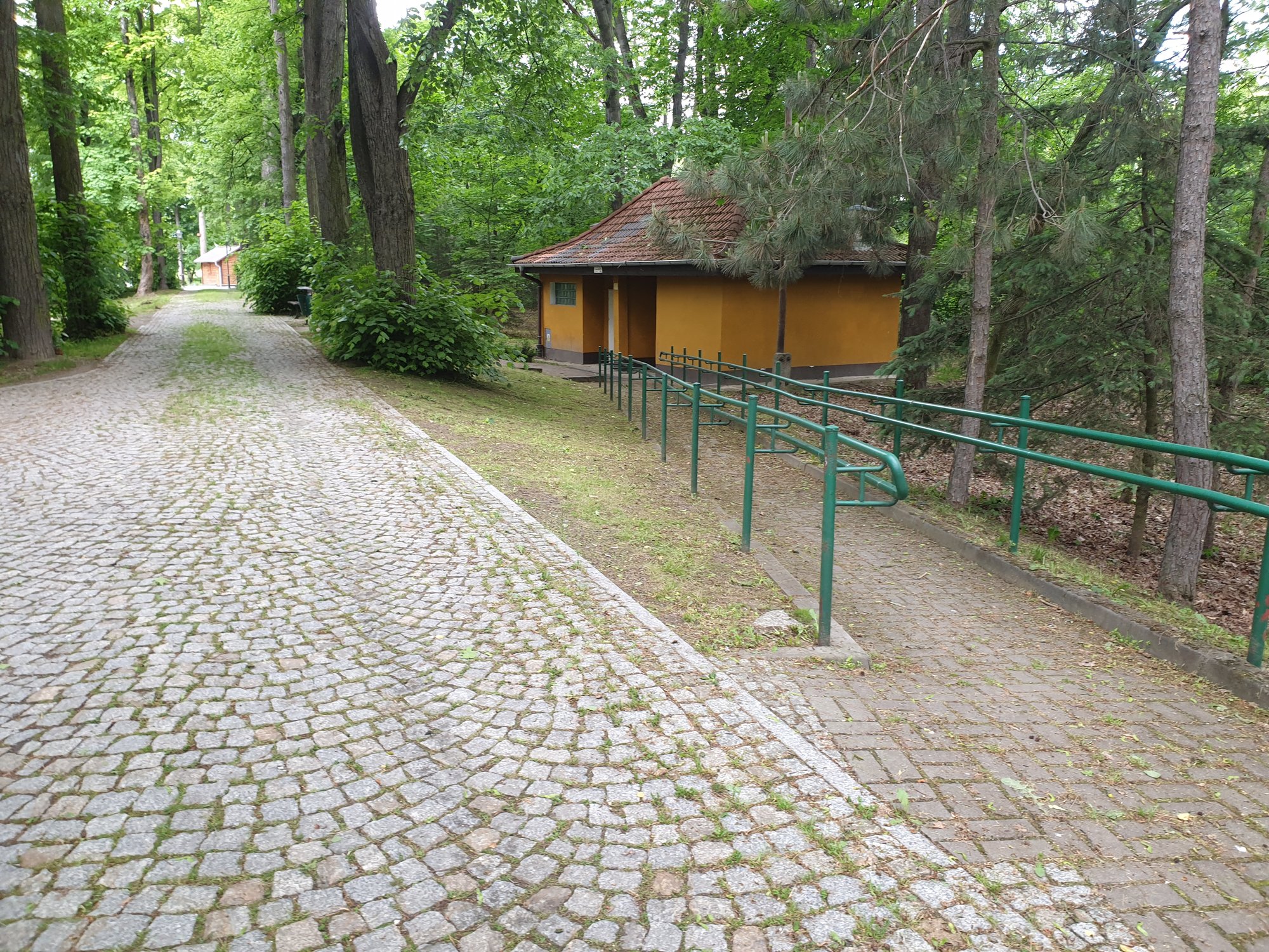 szambo-w-cieplickim-parku-106022