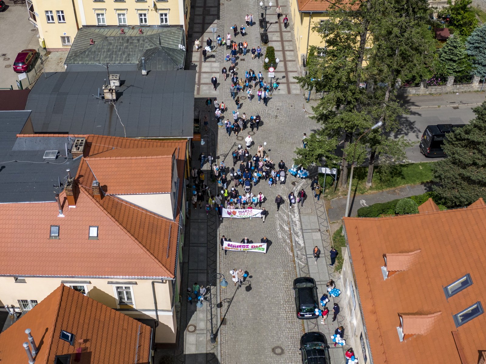 marsz-dla-zycia-i-rodziny-106024