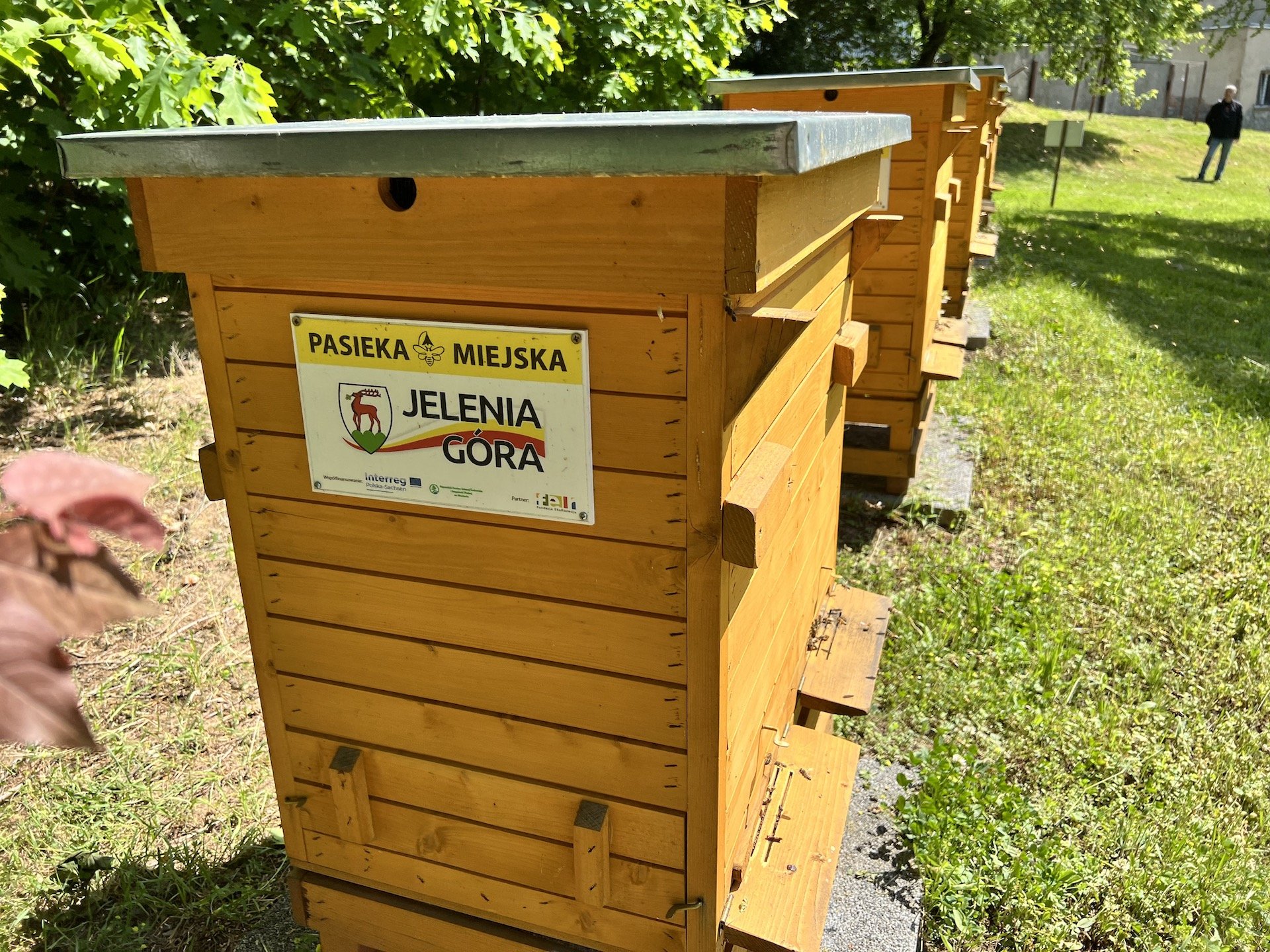 miodna-gora-106112