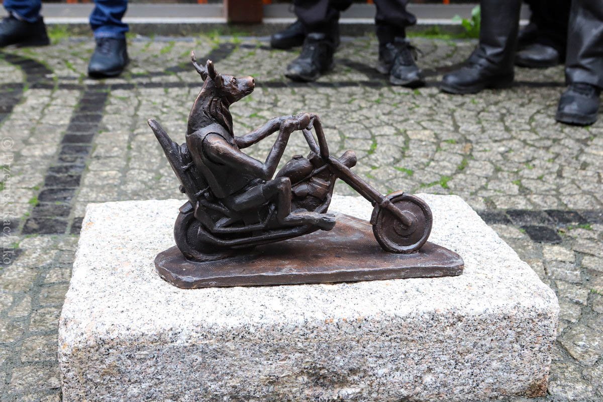 nowy-jelonek-na-szlaku-106152