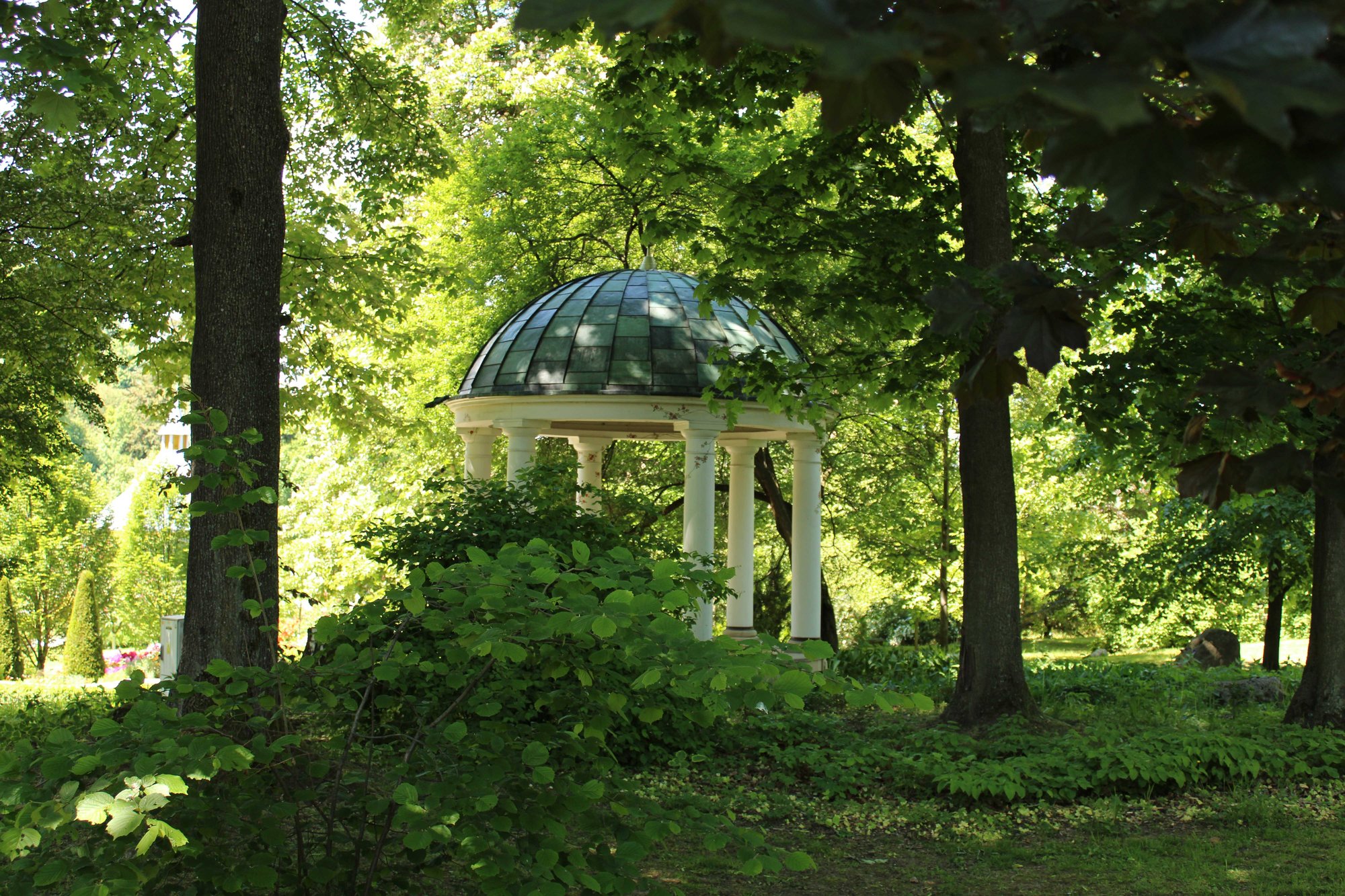 ciechanowicki-urok-106183