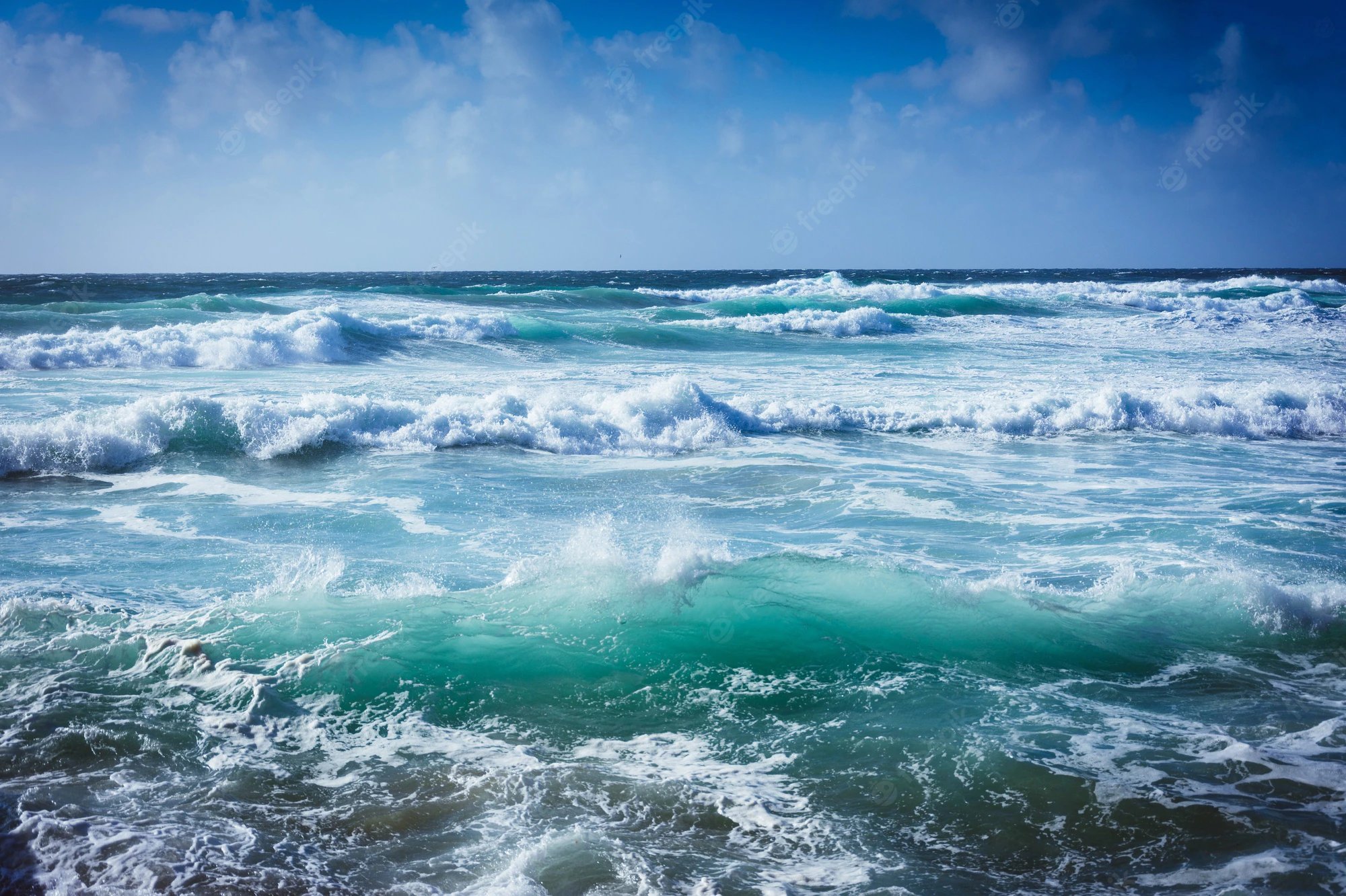 dzien-oceanow-106186