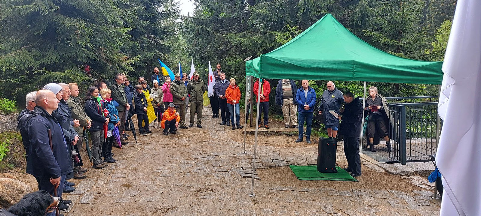 sup-pokoju-stana-przy-moscie-nad-izera-106199