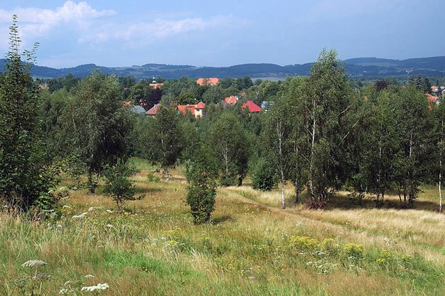obraz-kleski-w-sobieszowie-10624