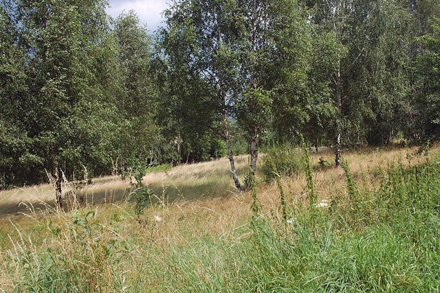obraz-kleski-w-sobieszowie-10624