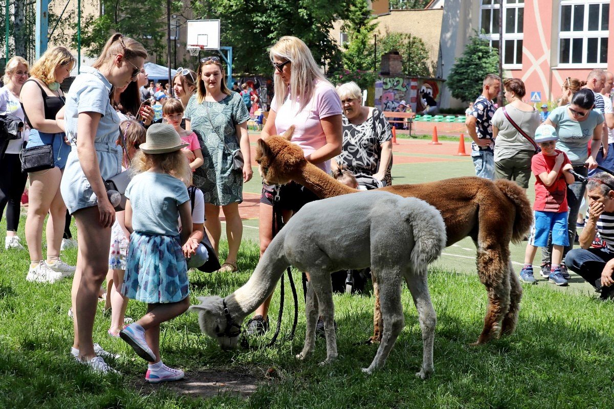 rodzinny-festyn-w-dwojce-106326