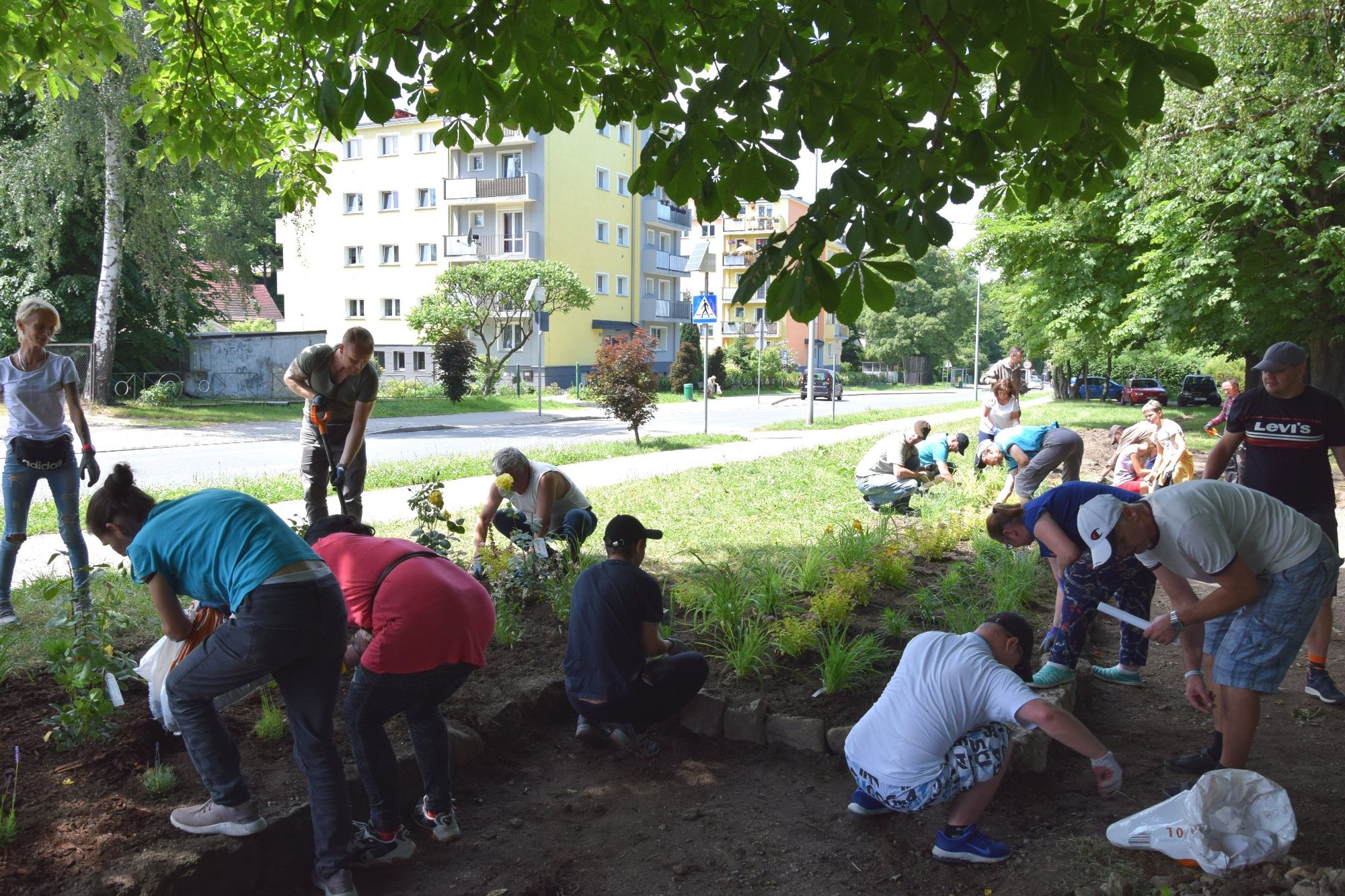 beda-miejskie-skwery-przyjazne-zapylaczom-106621