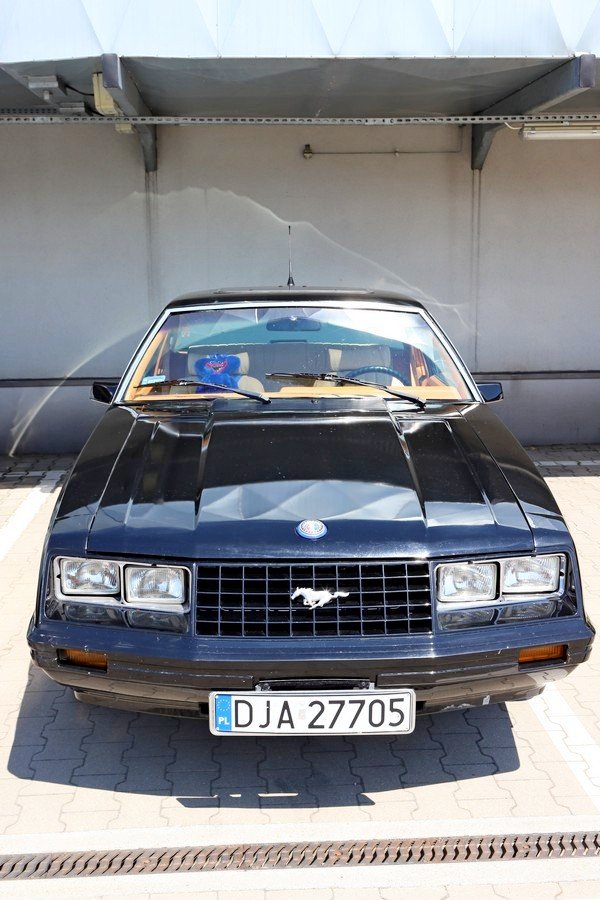 polonez-truck-z-cypru-juz-na-wystawie-106673