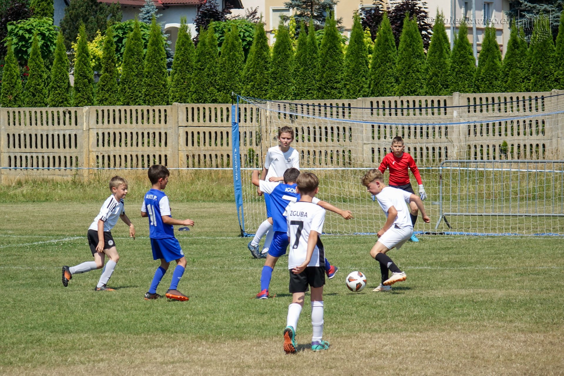 turniej-pikarski-106737