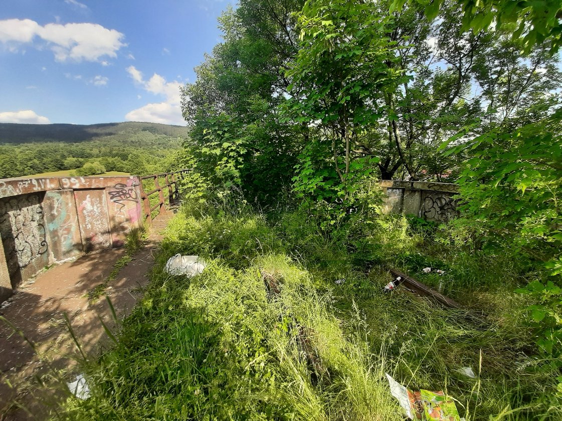 zabytkowy-wiadukt-ocaleje-106949
