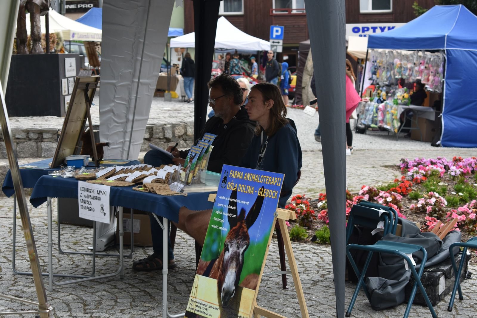 muzyczna-draka-dla-kotow-w-szklarskiej-porebie-107016