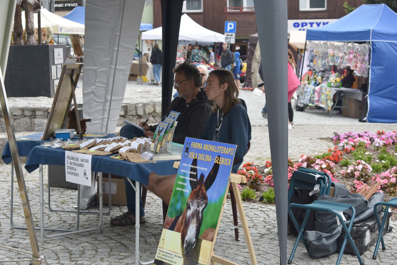 muzyczna-draka-dla-kotow-w-szklarskiej-porebie-107016