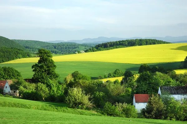 dzien-meczenstwa-wsi-polskiej-107059