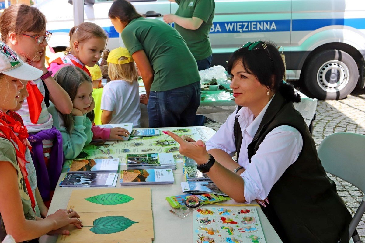 bezpieczne-wakacje-festyn-w-centrum-107089