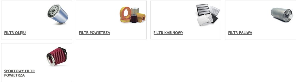 filtry-w-aucie-jakie-sa-ich-rodzaje-i-kiedy-je-wymienic-107368
