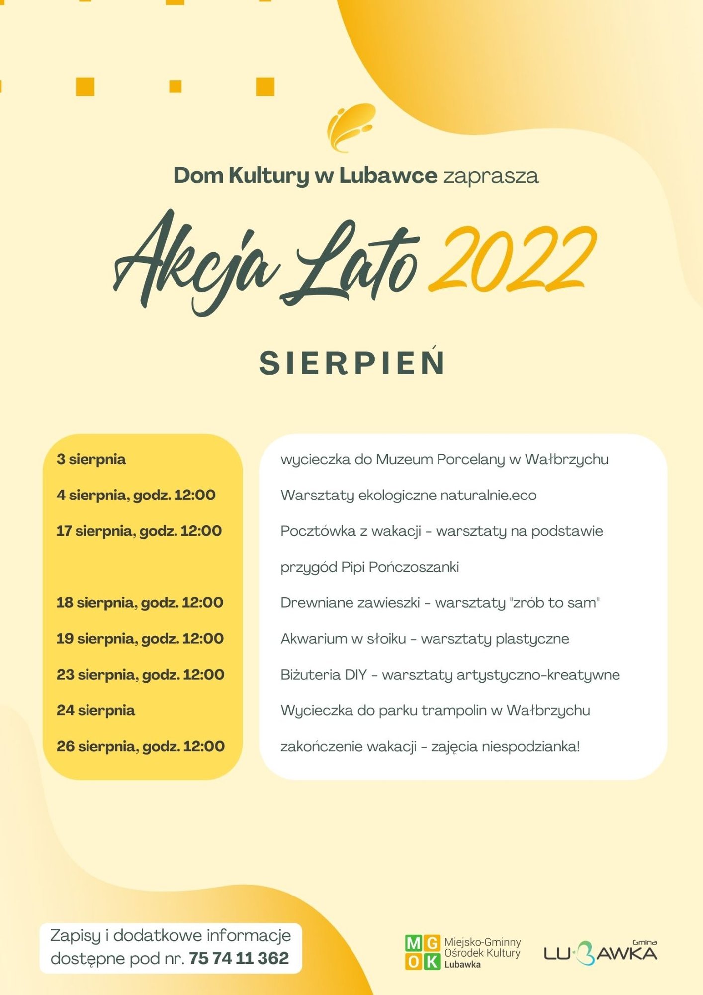 akcja-lato-107474