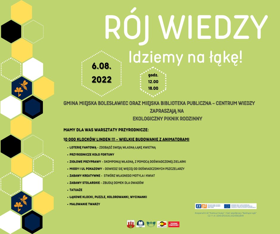 roj-wiedzy-na-pikniku-107482