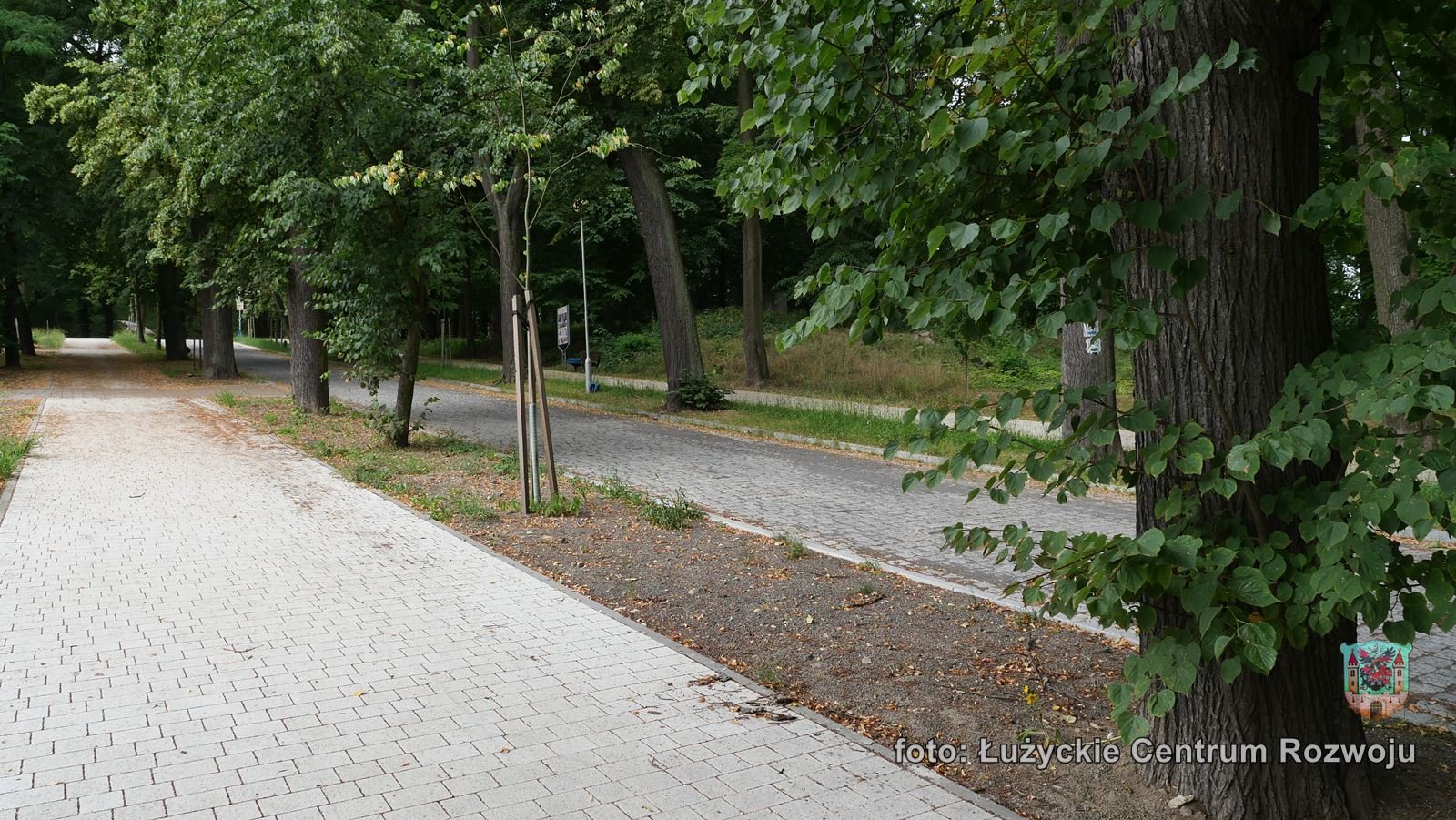 park-juz-po-remoncie-107493