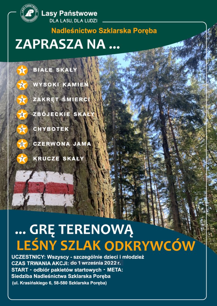 dla-lesnych-odkrywcow-107580