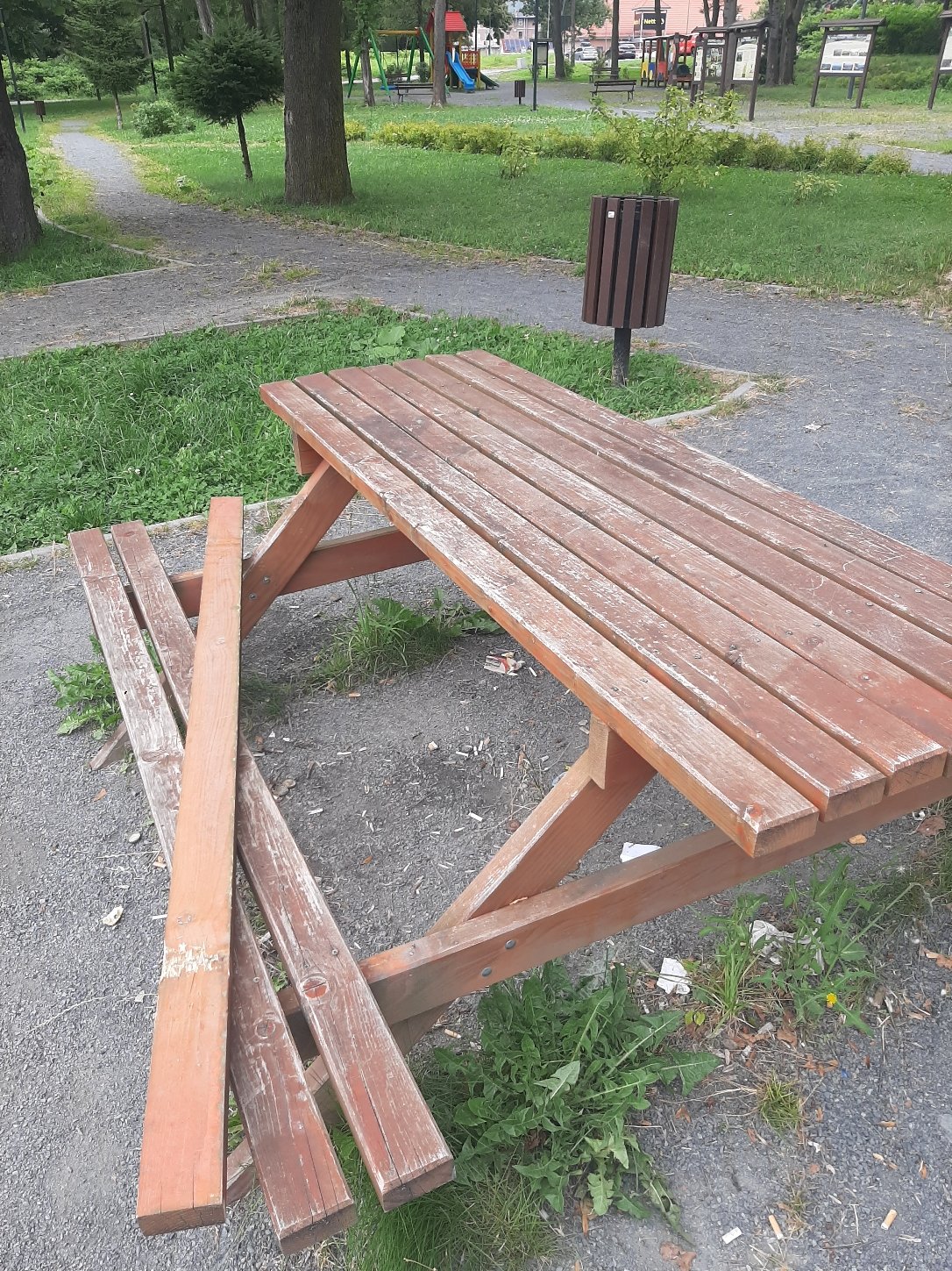 wandale-w-parku-107615