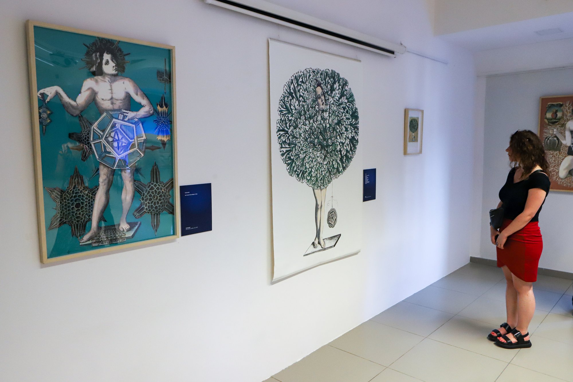 alegorie-do-zobaczenia-w-muzeum-karkonoskim-107717