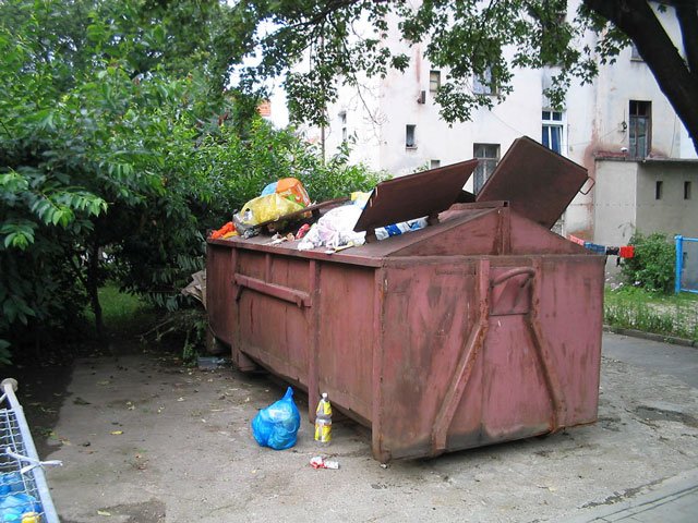 Zdjęcia nie przenoszą zapachów. Może i dobrze? W tym przypadku na pewno.