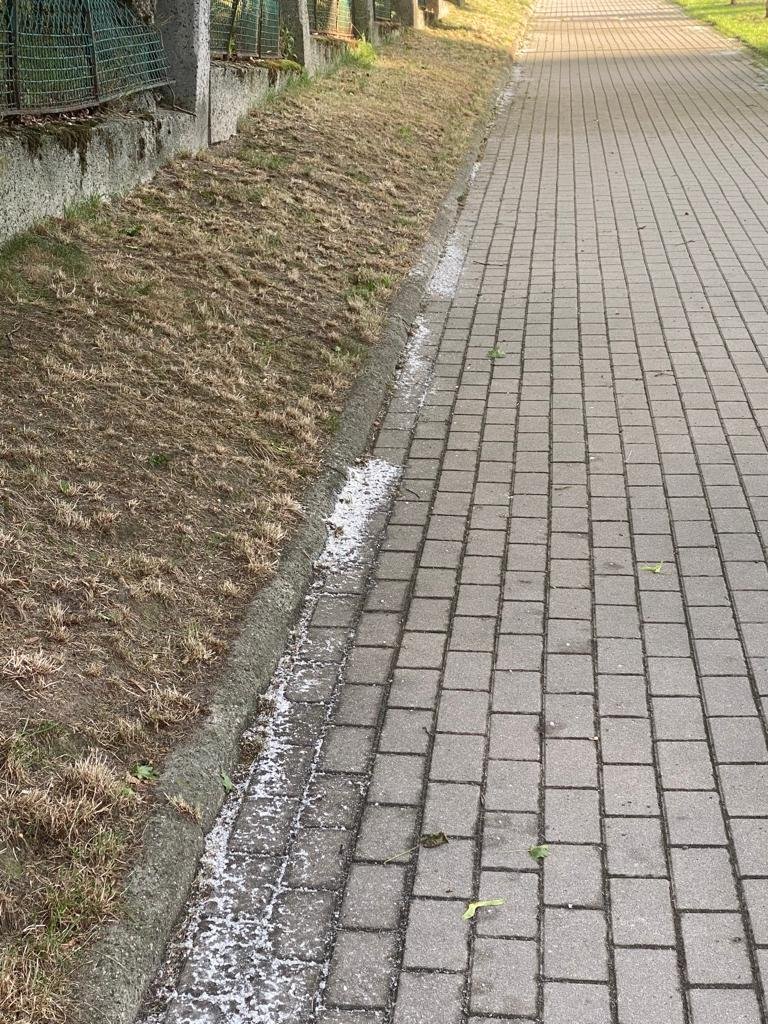 czytelniczka-nie-dla-sonych-chodnikow-107810