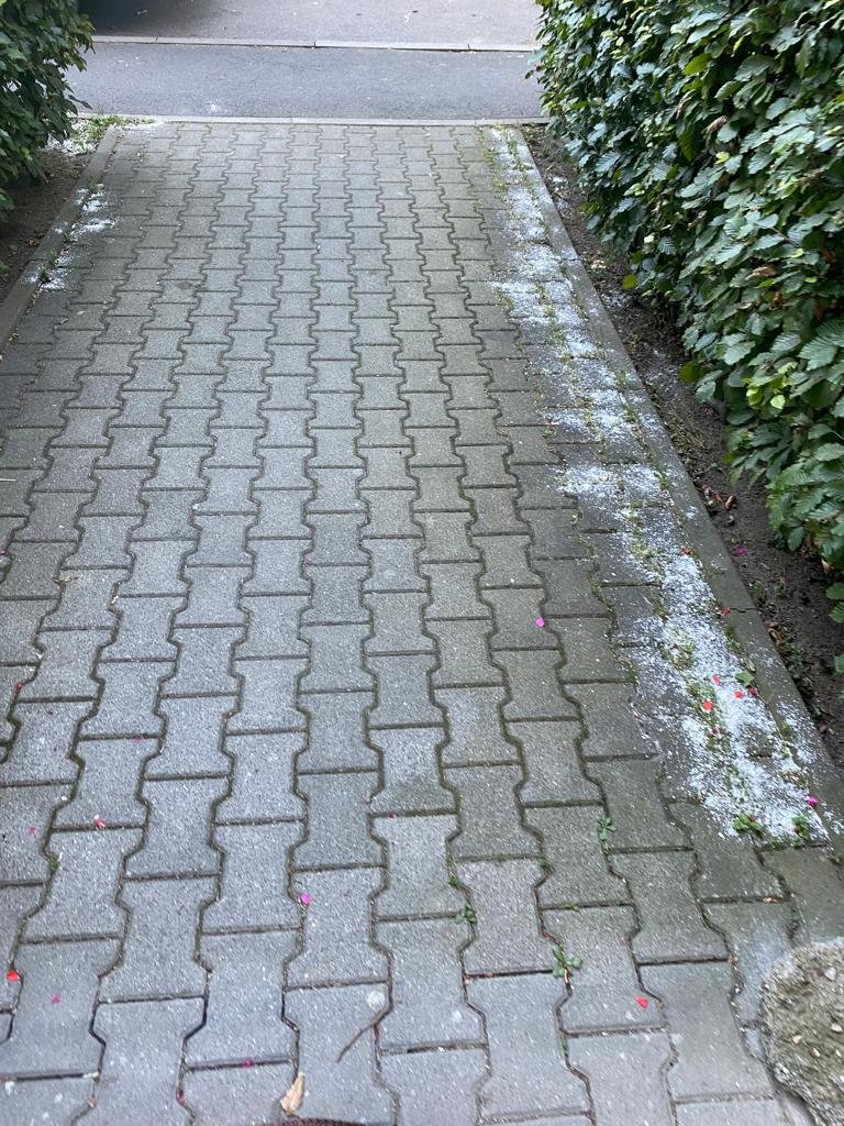 czytelniczka-nie-dla-sonych-chodnikow-107810