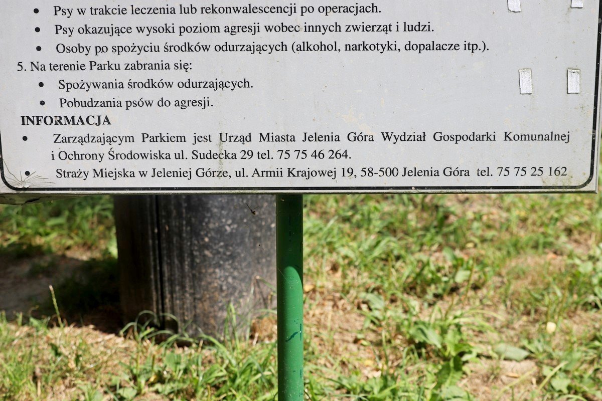 bezpanska-kamera-w-psim-parku-107848