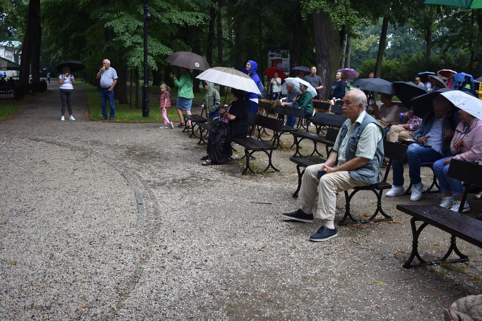 jazz-na-promenadzie-107901
