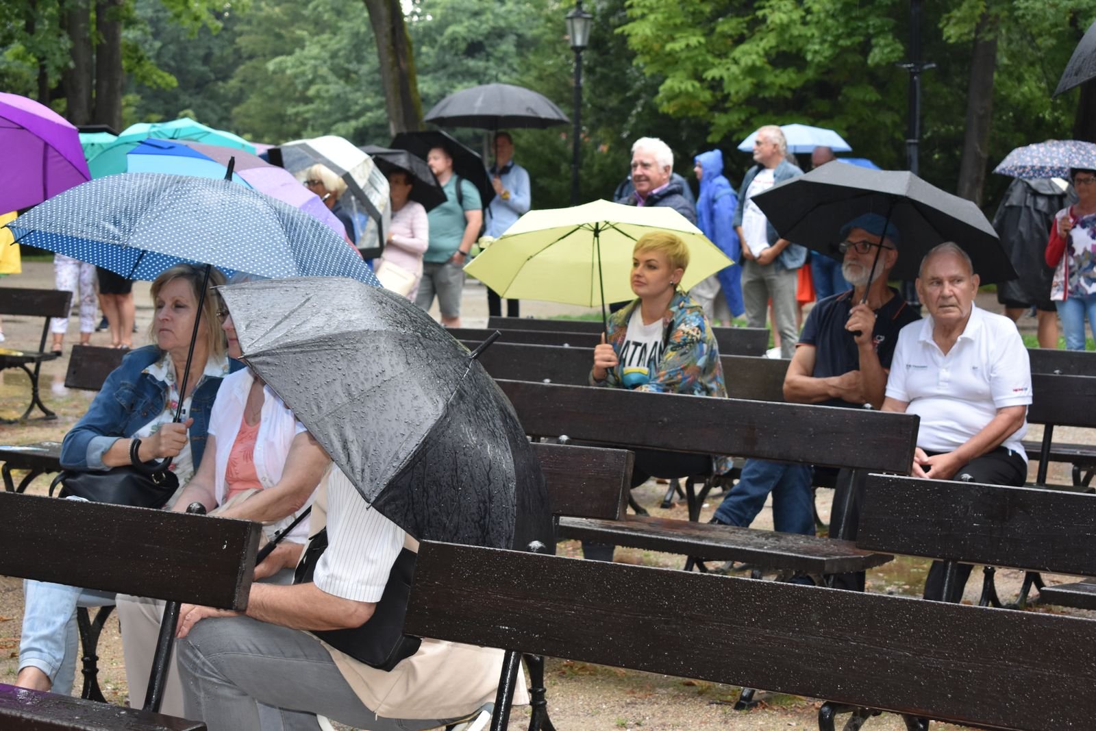 jazz-na-promenadzie-107901
