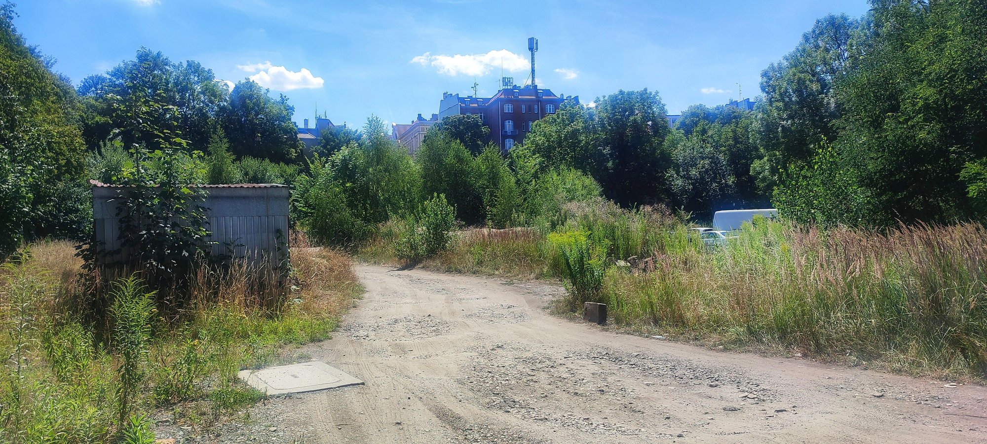 lodowisko-znacznie-drozsze-107922